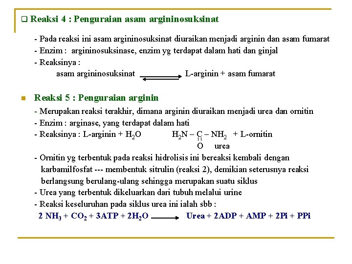 q Reaksi 4 : Penguraian asam argininosuksinat - Pada reaksi ini asam argininosuksinat diuraikan