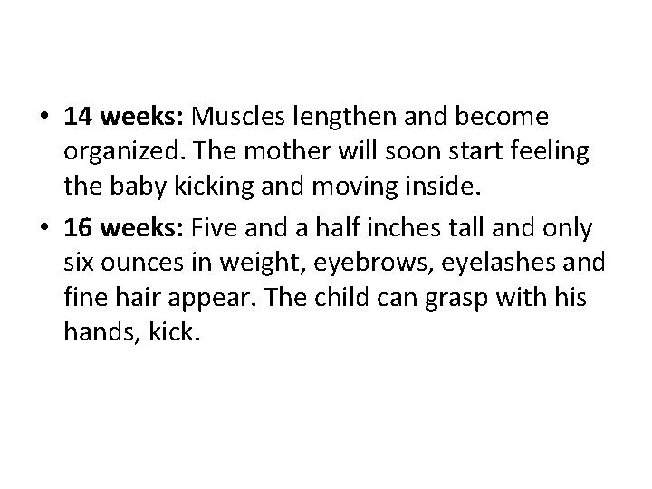  • 14 weeks: Muscles lengthen and become organized. The mother will soon start
