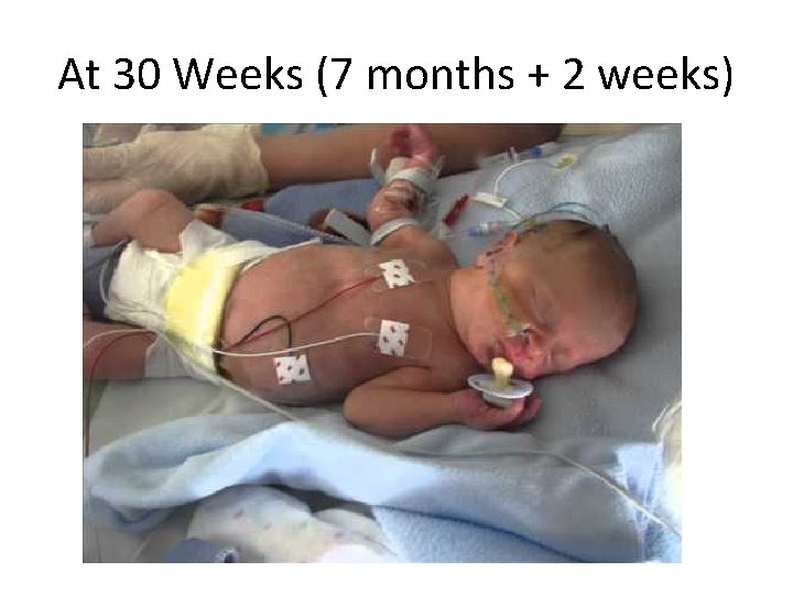 At 30 Weeks (7 months + 2 weeks) 