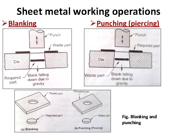 Sheet metal working operations Ø Blanking ØPunching (piercing) Fig. Blanking and punching 