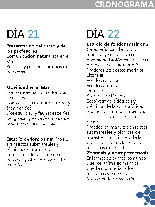 CRONOGRAMA DÍA 21 DÍA 22 Presentación del curso y de los profesores Comunicación naturalista