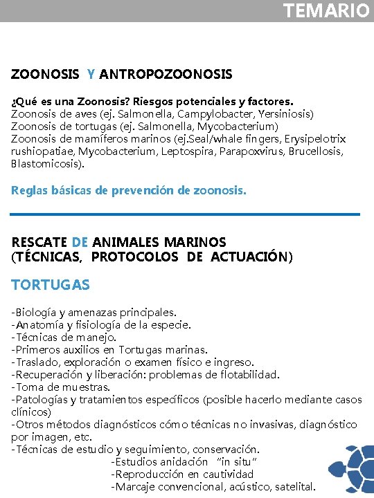 TEMARIO ZOONOSIS Y ANTROPOZOONOSIS ¿Qué es una Zoonosis? Riesgos potenciales y factores. Zoonosis de