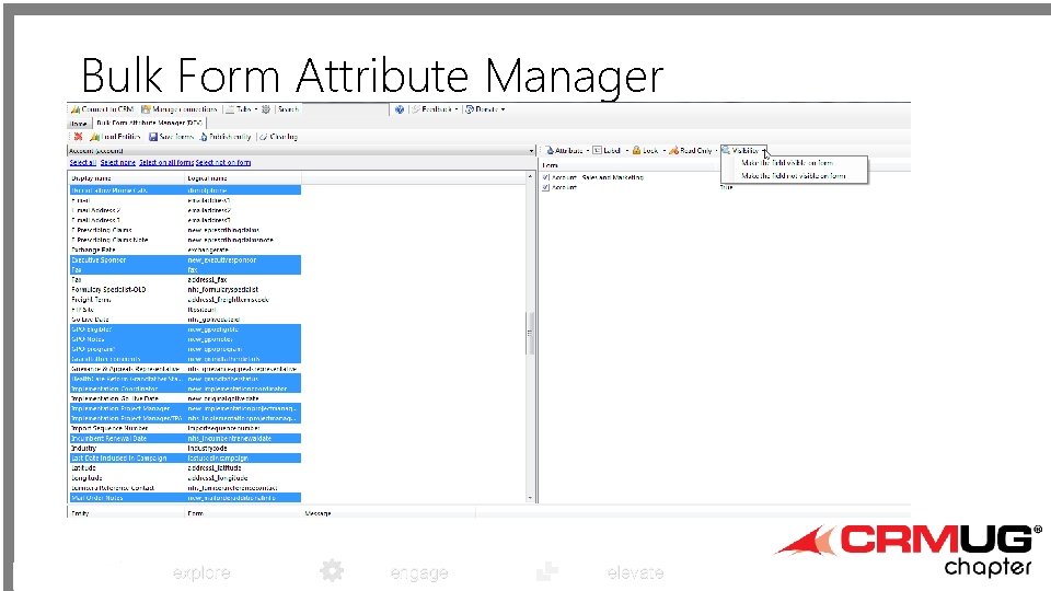 Bulk Form Attribute Manager explore engage elevate 