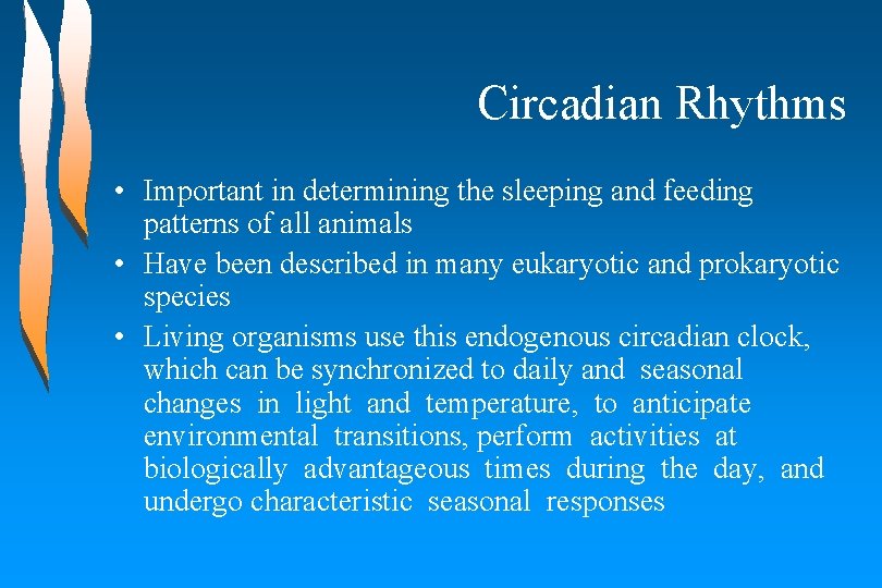 Circadian Rhythms • Important in determining the sleeping and feeding patterns of all animals