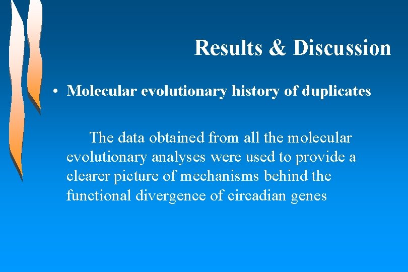 Results & Discussion • Molecular evolutionary history of duplicates The data obtained from all