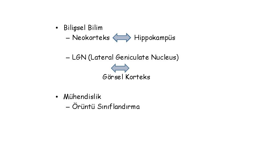  • Bilişsel Bilim – Neokorteks Hippokampüs – LGN (Lateral Geniculate Nucleus) Görsel Korteks