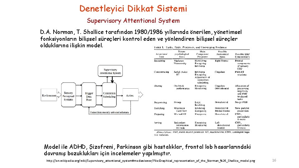 Denetleyici Dikkat Sistemi Supervisory Attentional System D. A. Norman, T. Shallice tarafından 1980/1986 yıllarında