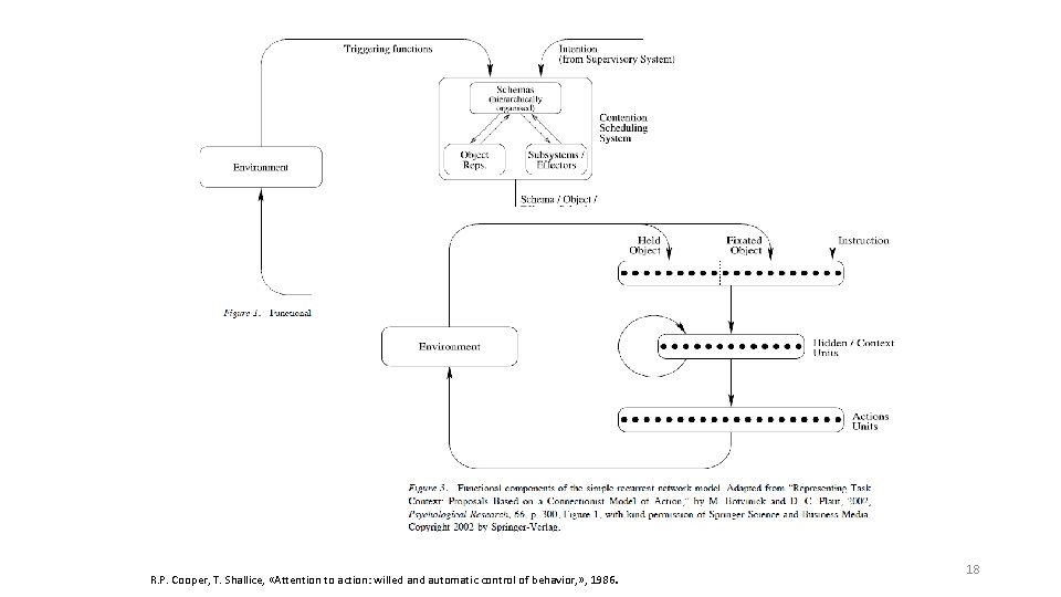 . R. P. Cooper, T. Shallice, «Attention to action: willed and automatic control of
