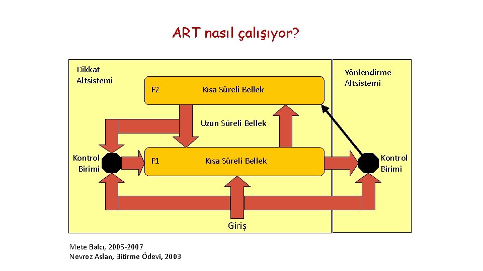 ART nasıl çalışıyor? Dikkat Altsistemi F 2 Kısa Süreli Bellek Yönlendirme Altsistemi Uzun Süreli