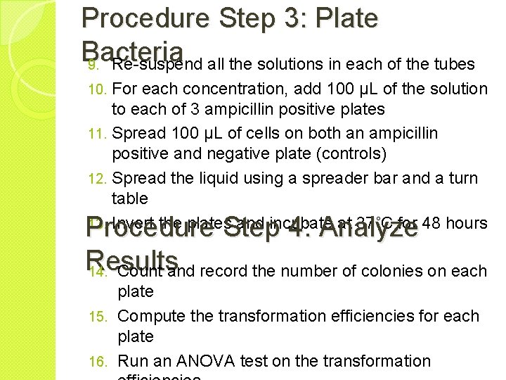 Procedure Step 3: Plate Bacteria 9. Re-suspend all the solutions in each of the