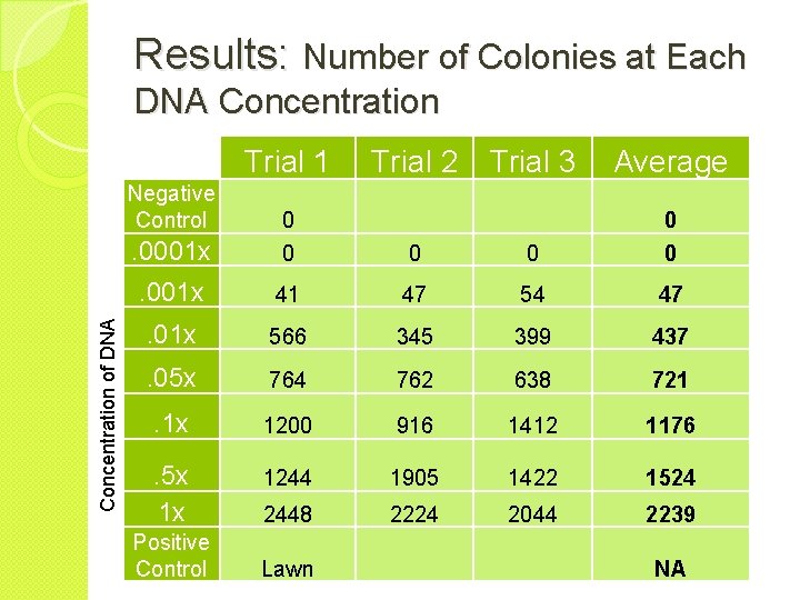 Results: Number of Colonies at Each DNA Concentration Trial 1 Concentration of DNA Negative