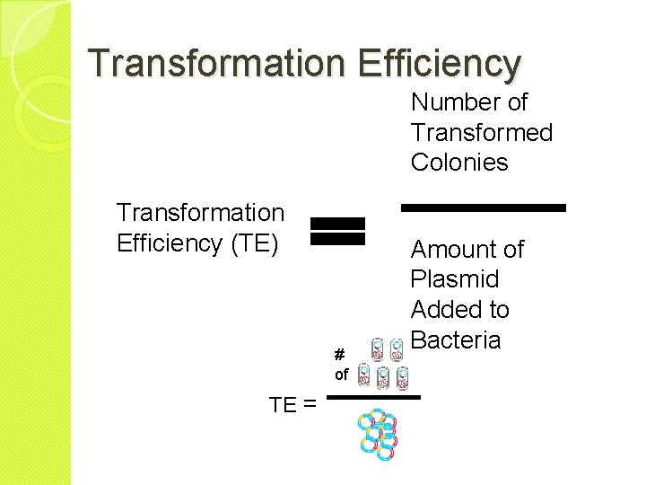 Transformation Efficiency Number of Transformed Colonies Transformation Efficiency (TE) # of TE = Amount