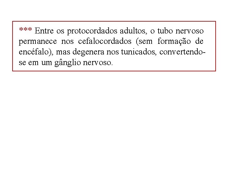 *** Entre os protocordados adultos, o tubo nervoso permanece nos cefalocordados (sem formação de