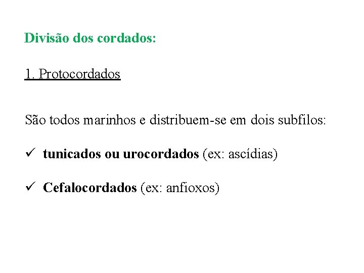 Divisão dos cordados: 1. Protocordados São todos marinhos e distribuem-se em dois subfilos: ü