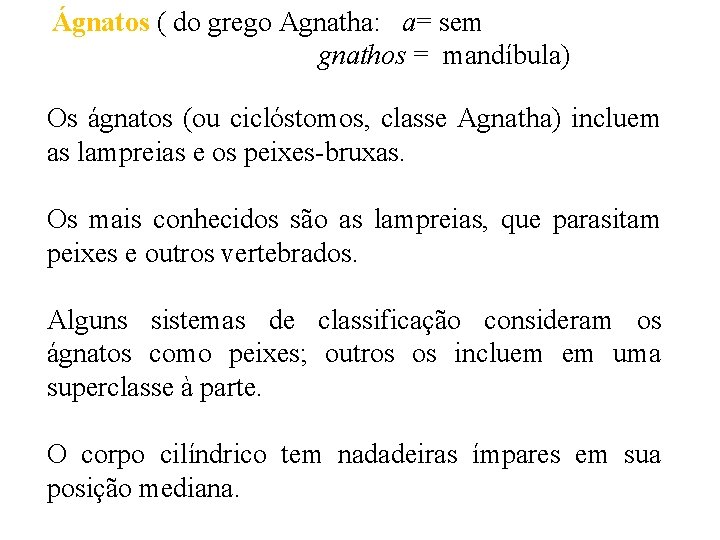 Ágnatos ( do grego Agnatha: a= sem gnathos = mandíbula) Os ágnatos (ou ciclóstomos,