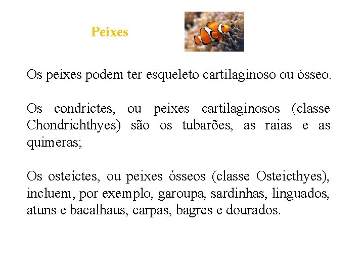 Peixes Os peixes podem ter esqueleto cartilaginoso ou ósseo. Os condrictes, ou peixes cartilaginosos