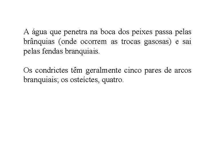 A água que penetra na boca dos peixes passa pelas brânquias (onde ocorrem as