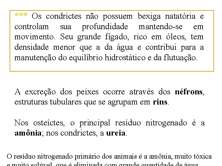 *** Os condrictes não possuem bexiga natatória e controlam sua profundidade mantendo-se em movimento.