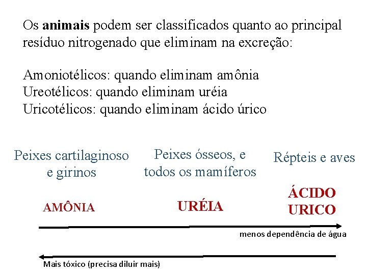 Os animais podem ser classificados quanto ao principal resíduo nitrogenado que eliminam na excreção: