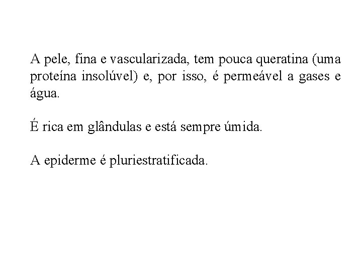 A pele, fina e vascularizada, tem pouca queratina (uma proteína insolúvel) e, por isso,