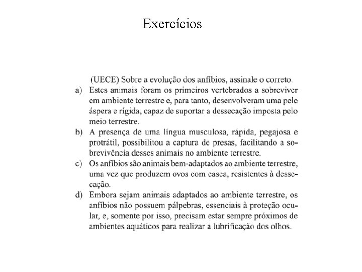 Exercícios 