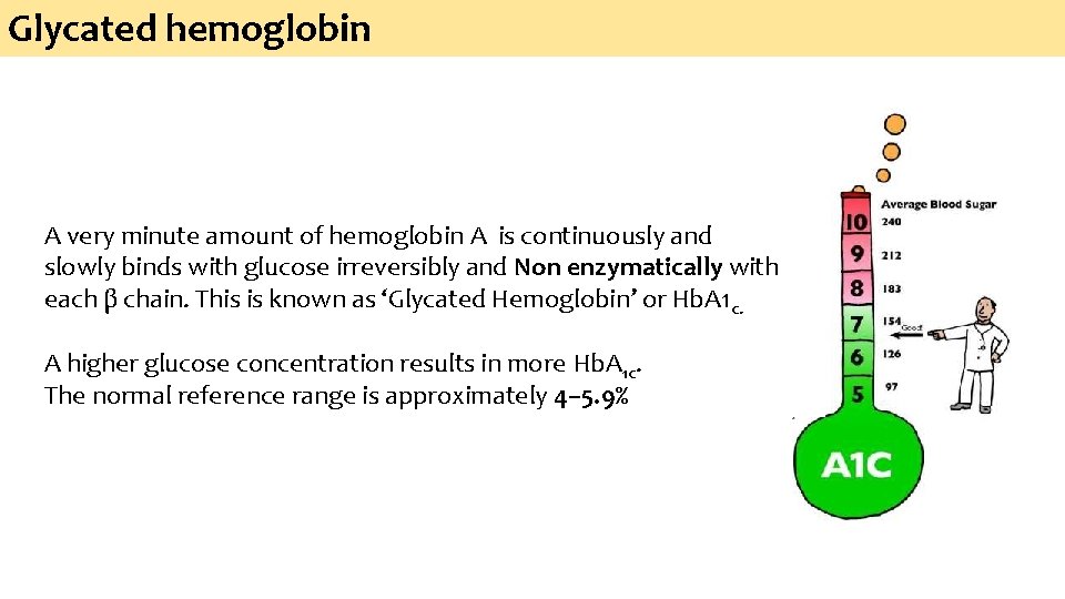 Glycated hemoglobin A very minute amount of hemoglobin A is continuously and slowly binds