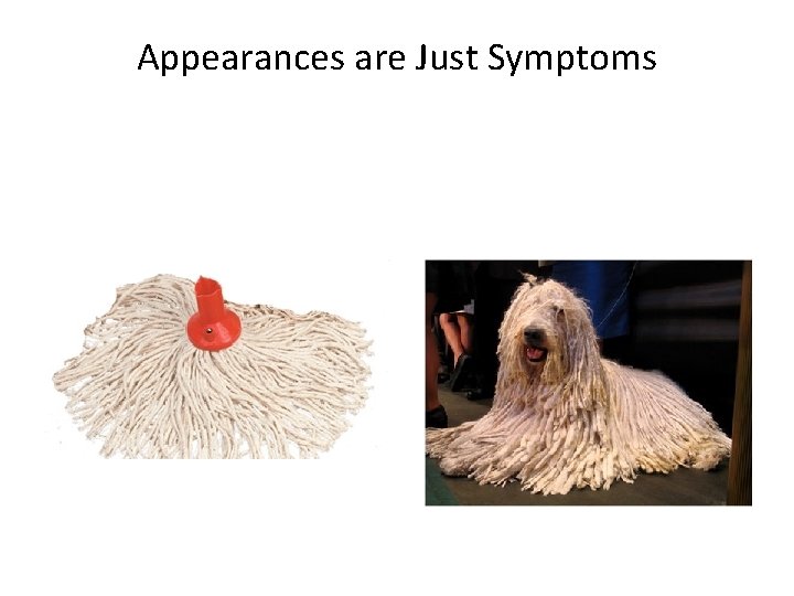 Appearances are Just Symptoms 