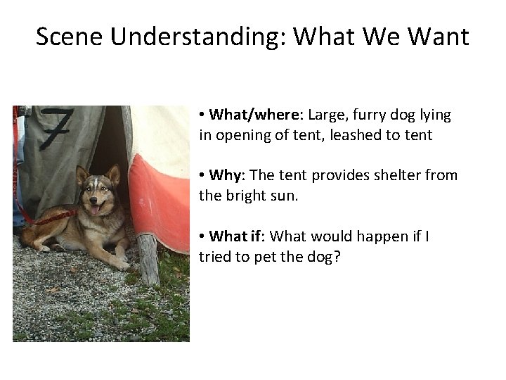 Scene Understanding: What We Want • What/where: Large, furry dog lying in opening of