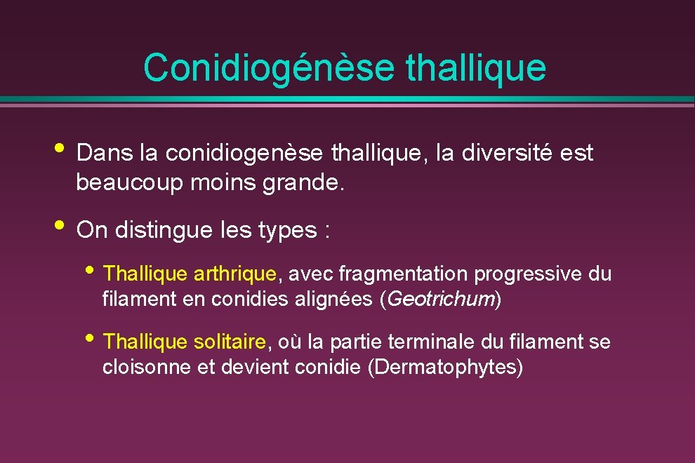 Conidiogénèse thallique • Dans la conidiogenèse thallique, la diversité est beaucoup moins grande. •