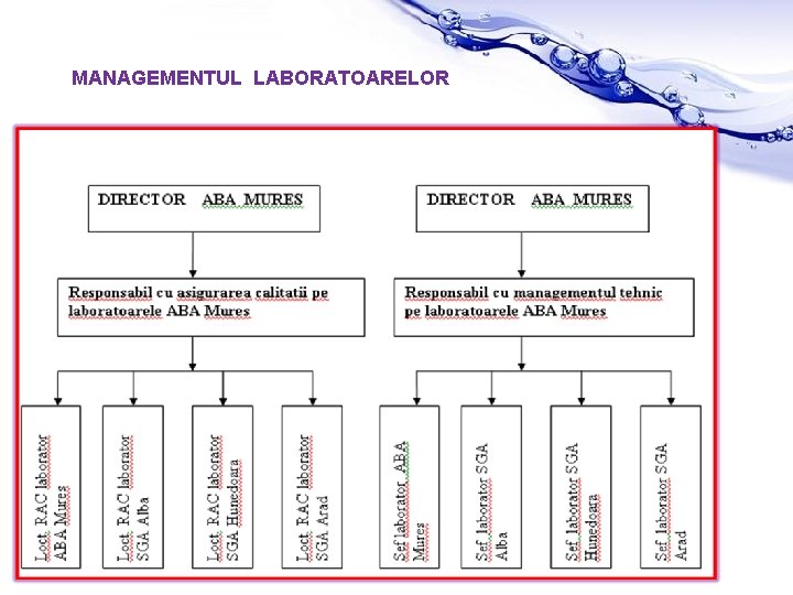 MANAGEMENTUL LABORATOARELOR Page 4 