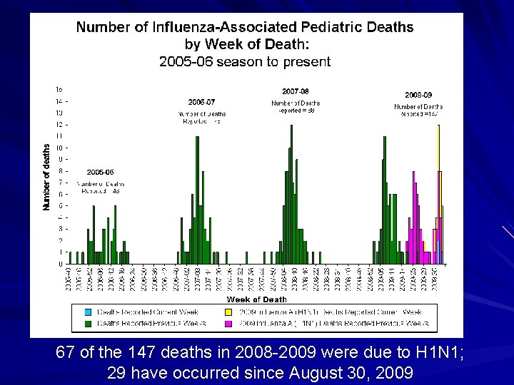 67 of the 147 deaths in 2008 -2009 were due to H 1 N