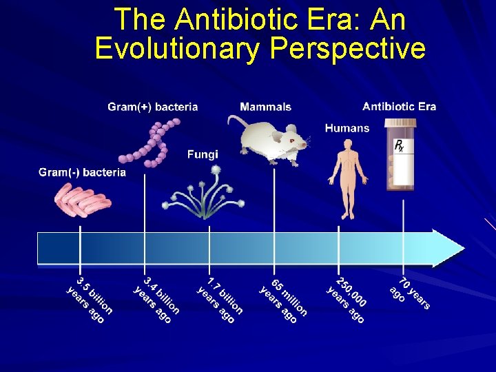The Antibiotic Era: An Evolutionary Perspective 