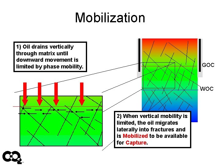 Mobilization 1) Oil drains vertically through matrix until downward movement is limited by phase