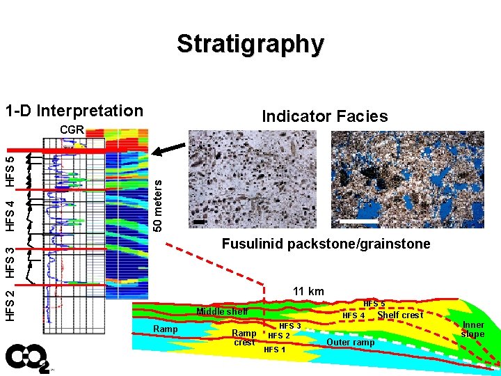 Stratigraphy 1 -D Interpretation Indicator Facies 50 meters Fusulinid packstone/grainstone HFS 3 HFS 4