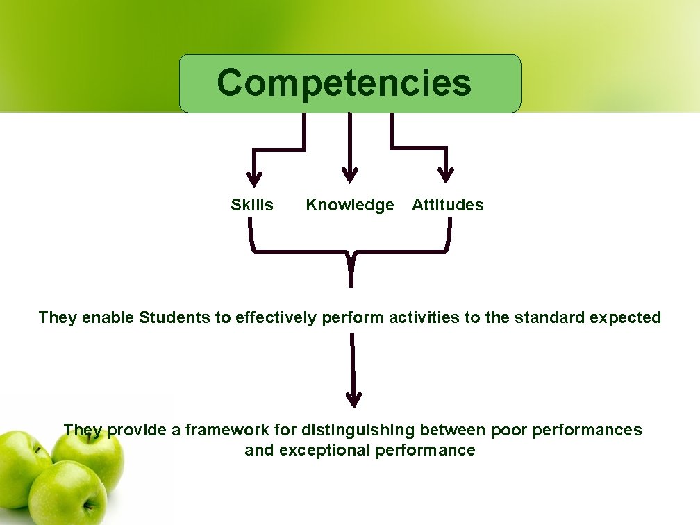 Competencies Skills Knowledge Attitudes They enable Students to effectively perform activities to the standard