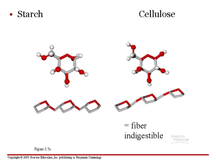  • Starch Cellulose = fiber indigestible Figure 3. 7 x Copyright © 2003
