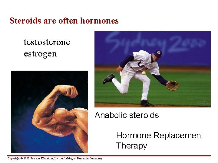 Steroids are often hormones testosterone estrogen Anabolic steroids Hormone Replacement Therapy Copyright © 2003