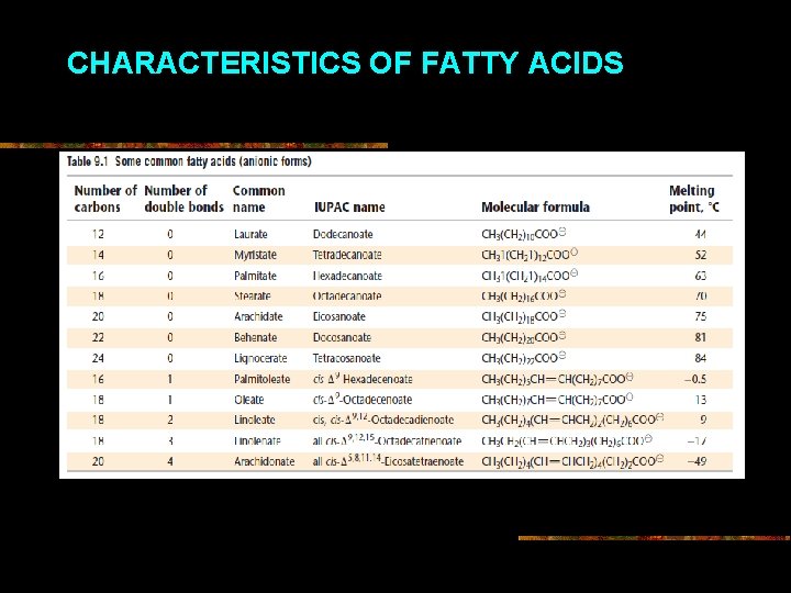 METABOLISME ENERGI DAN ZAT GIZI MAKRO PERTEMUAN 6