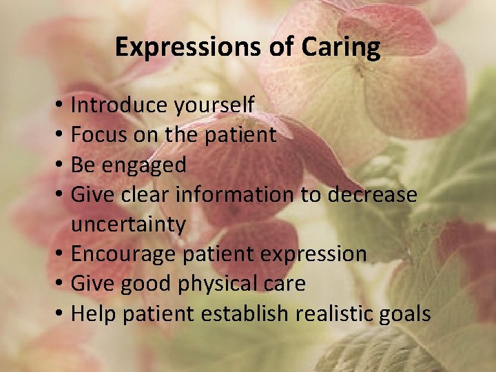 Expressions of Caring • Introduce yourself • Focus on the patient • Be engaged