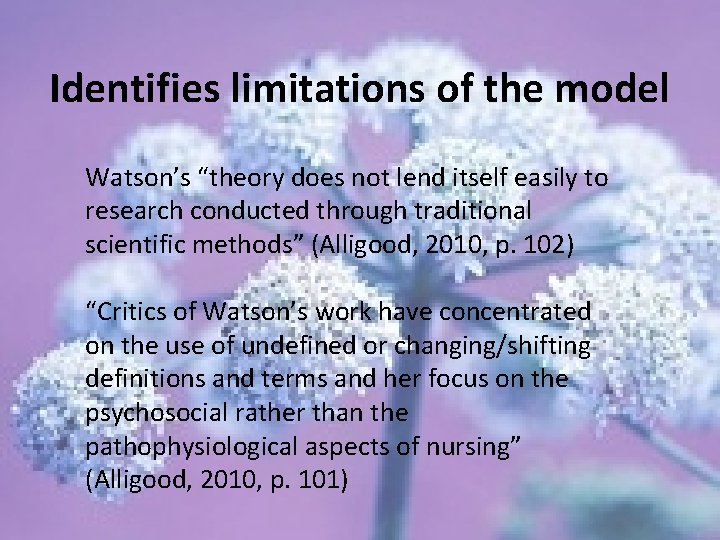 Identifies limitations of the model Watson’s “theory does not lend itself easily to research
