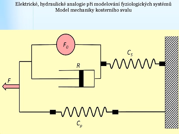 Elektrické, hydraulické analogie při modelování fyziologických systémů Model mechaniky kosterního svalu 