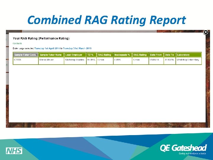 Combined RAG Rating Report 