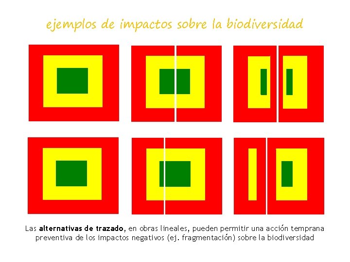 ejemplos de impactos sobre la biodiversidad Las alternativas de trazado, en obras lineales, pueden