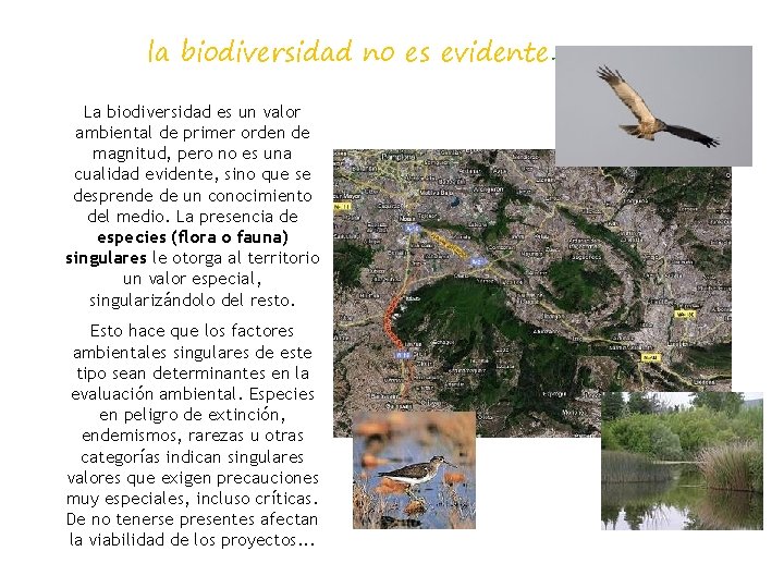 la biodiversidad no es evidente… La biodiversidad es un valor ambiental de primer orden