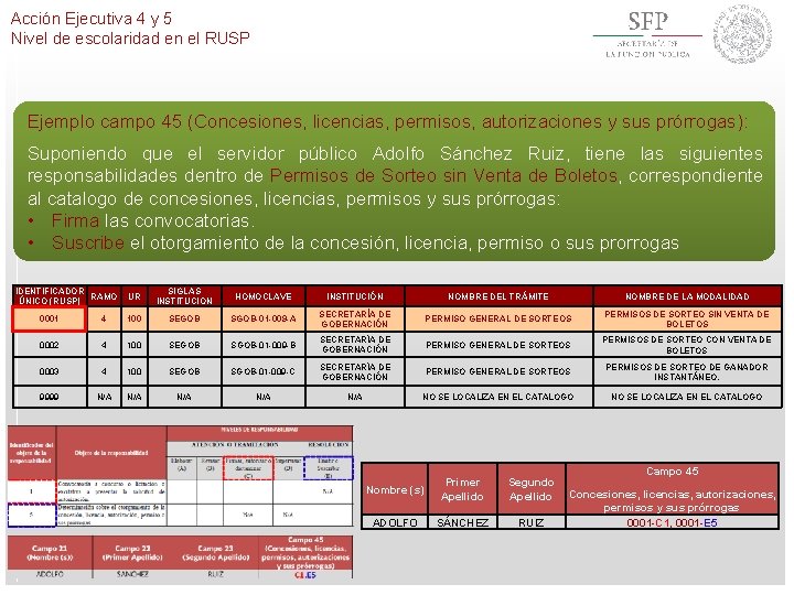 Acción Ejecutiva 4 y 5 Nivel de escolaridad en el RUSP Ejemplo campo 45