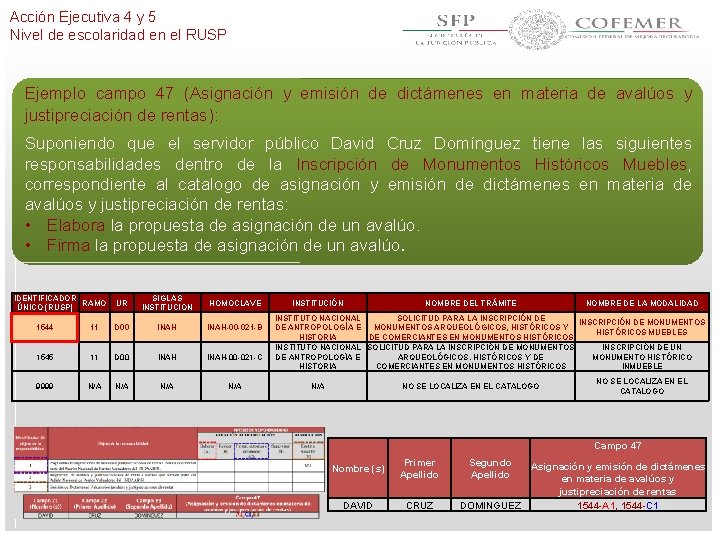 Acción Ejecutiva 4 y 5 Nivel de escolaridad en el RUSP Ejemplo campo 47