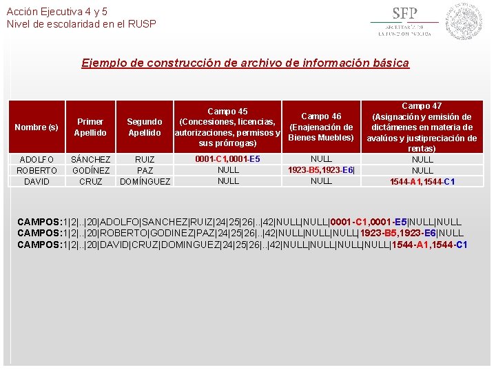 Acción Ejecutiva 4 y 5 Nivel de escolaridad en el RUSP Ejemplo de construcción