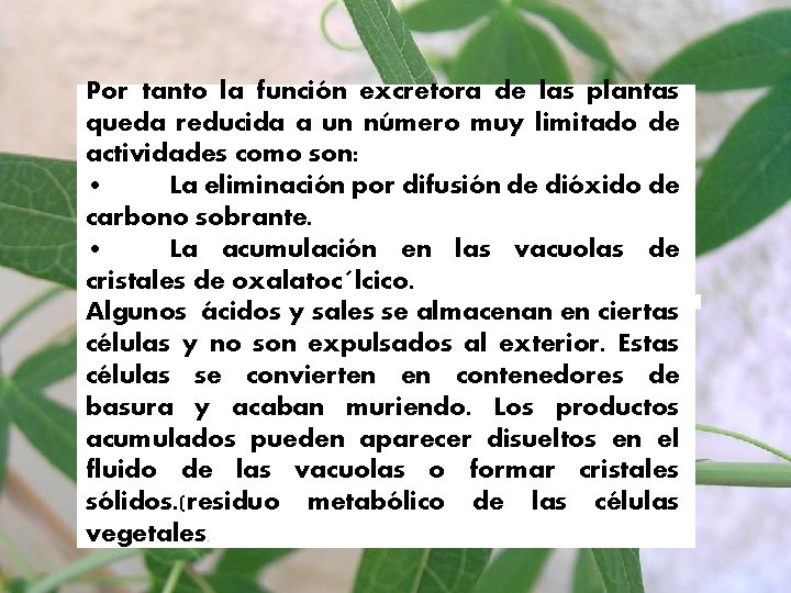 Por tanto la función excretora de las plantas queda reducida a un número muy