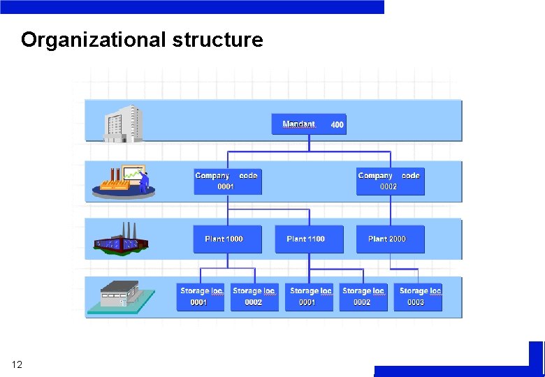 Organizational structure 12 