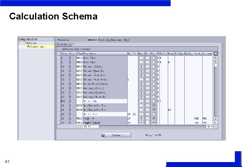 Calculation Schema 41 